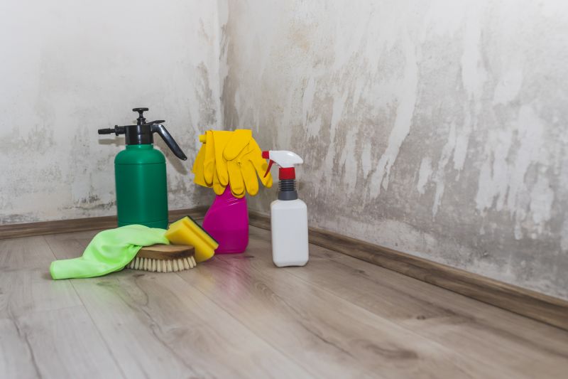 Mold Services