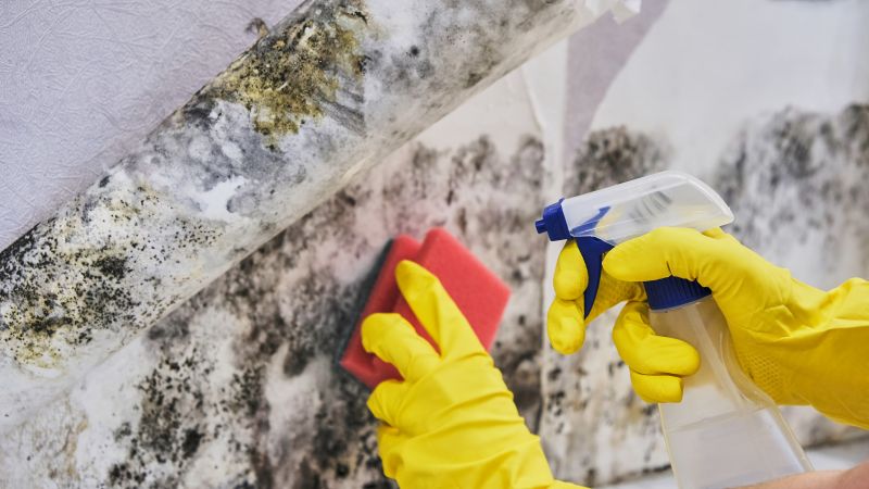 Air Duct Mold Removal in Fort Worth, TX