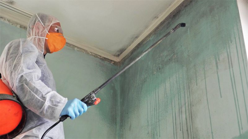 Basement Mold Removal in Dallas, TX