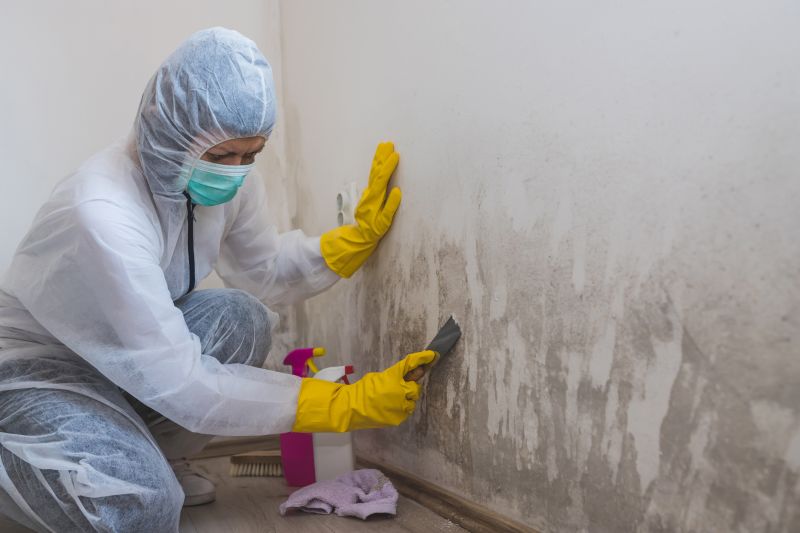 Black Mold Remediation in Jupiter, FL