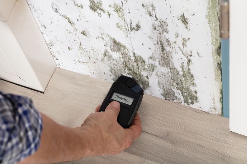 Cost of Mold Services — Cost of Mold Services