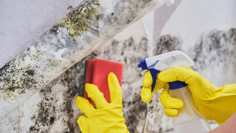Crawl Space Mold Removal in Dallas, TX
