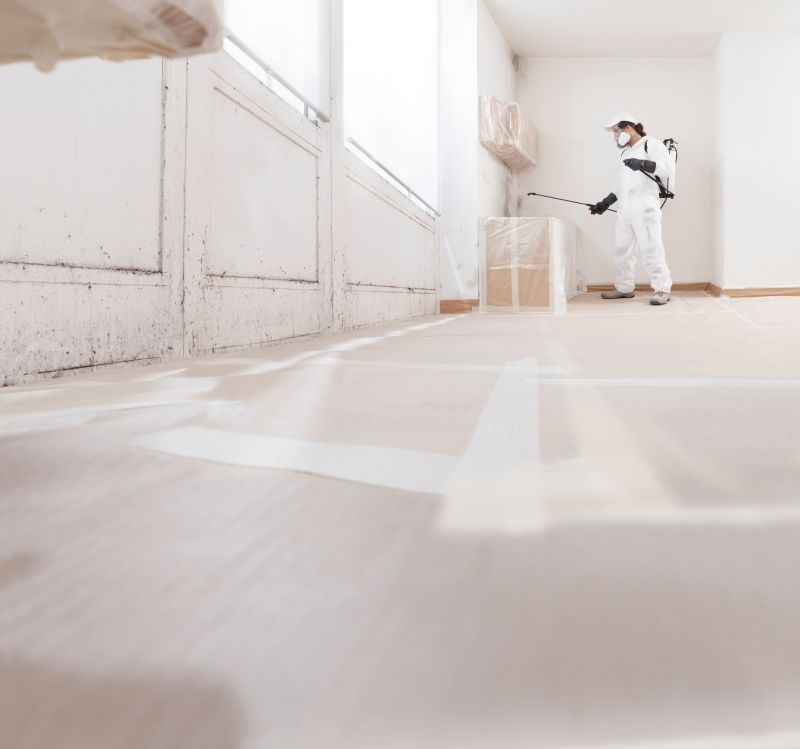 Crawlspace Mold Remediation in Dallas, TX