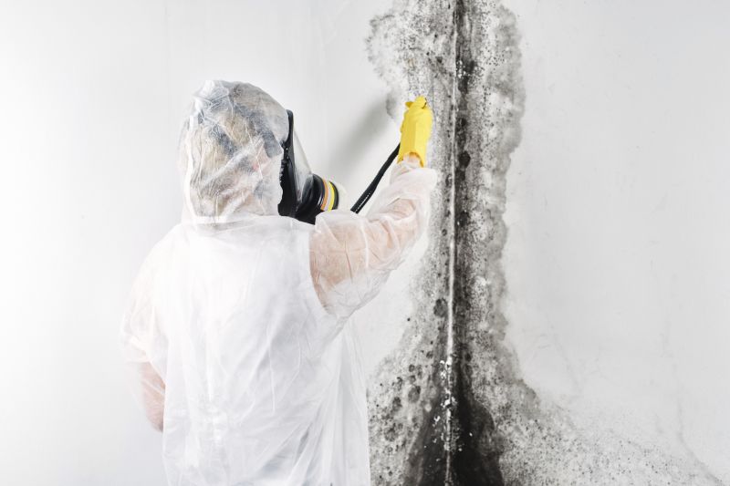 Garage Mold Remediation in Jupiter, FL
