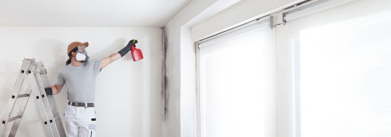 Mold Abatement Service in Frisco, TX