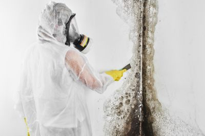 Mold Inspection And Removal in Jupiter, FL