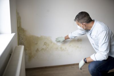 Mold Growth on Wall