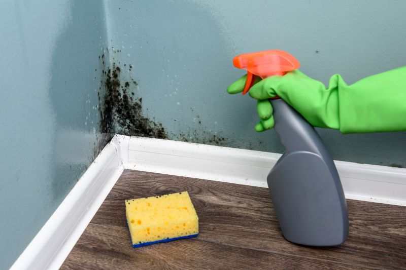 Mold Services