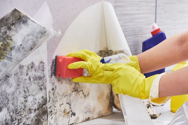 Mold Services