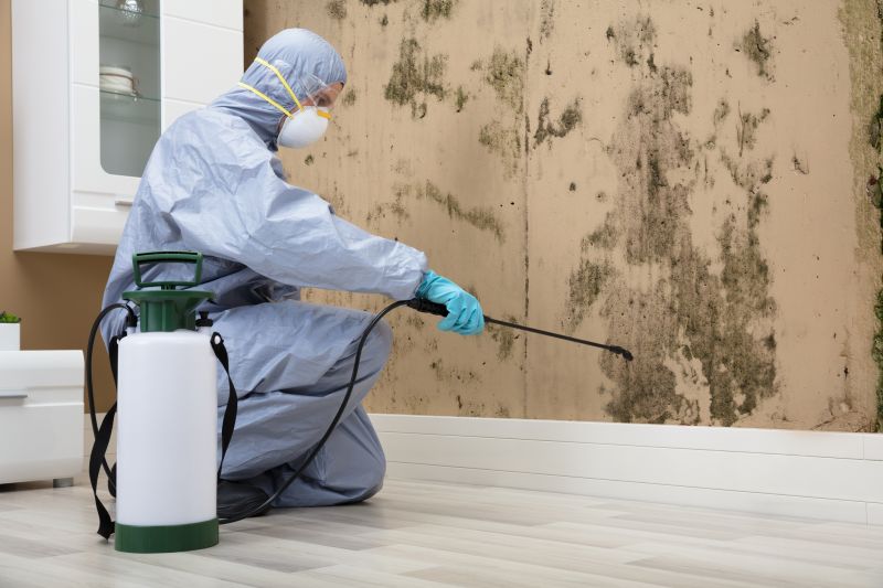 Mold Services