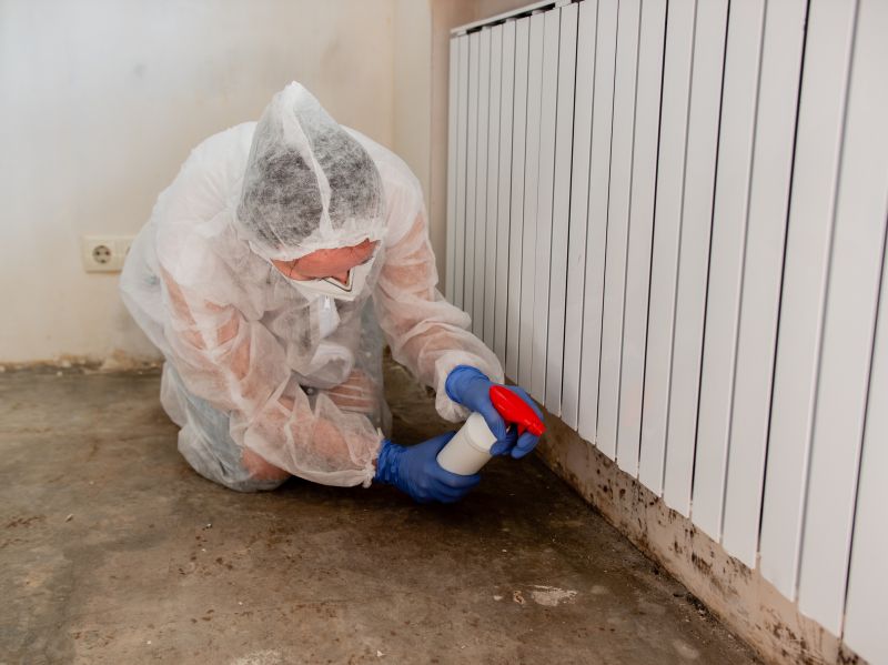 Mold Services