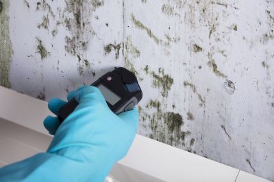 Mold Inspections and Testing