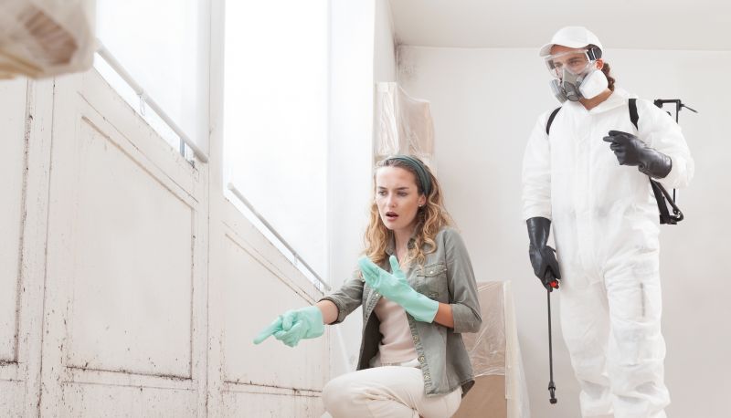 Basement Mold Remediation in West Palm Beach, FL
