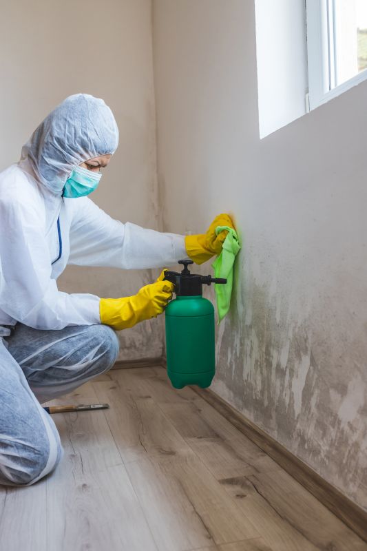 White Mold Mitigation in Frisco, TX