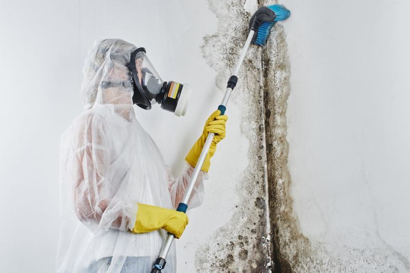 Mold Inspection and Remediation Services
