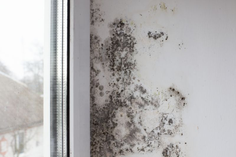 Type of Mold